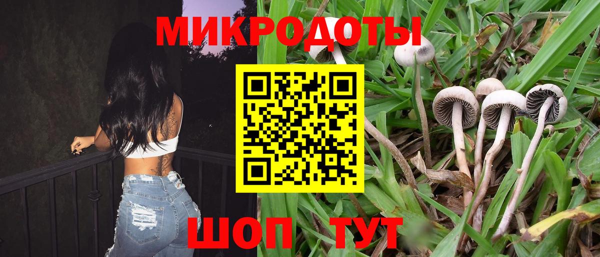 Барабинск  Псилоцибиновые грибы MAGIC MUSHROOMS  Вход с VPN 
