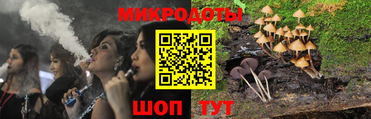 Галлюциногенные грибы Psilocybine cubensis Барабинск